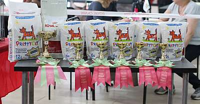 �������� ����� 22-23 ������ 2014, ������������ ��� 169A8618 copy.jpg